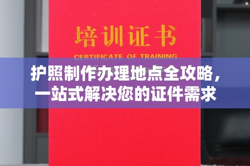 东丽护照制作办理地点全攻略，一站式解决您的证件需求