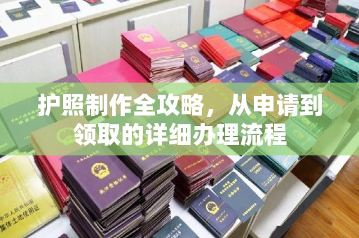 东丽护照制作全攻略，从申请到领取的详细办理流程