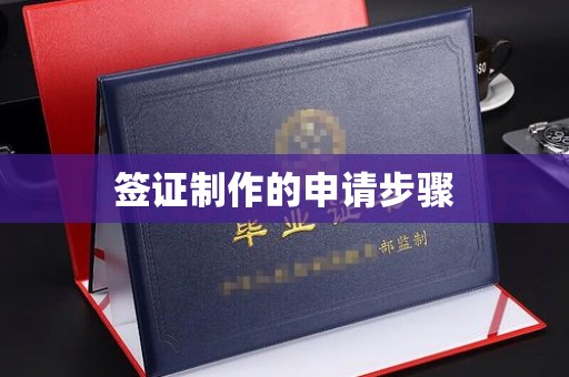东丽签证制作的申请步骤