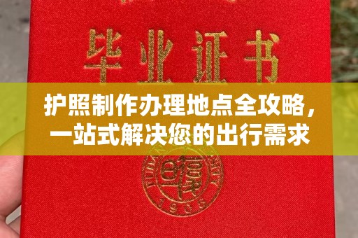 东丽护照制作办理地点全攻略，一站式解决您的出行需求