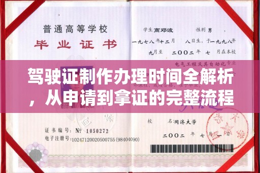 东丽驾驶证制作办理时间全解析，从申请到拿证的完整流程