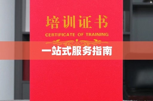 东丽一站式服务指南
