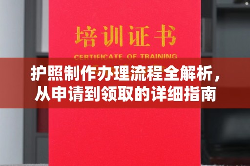 东丽护照制作办理流程全解析，从申请到领取的详细指南
