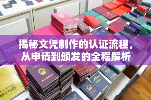东丽揭秘文凭制作的认证流程，从申请到颁发的全程解析