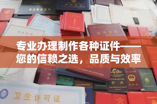 东丽专业办理制作各种证件——您的信赖之选，品质与效率的完美结合