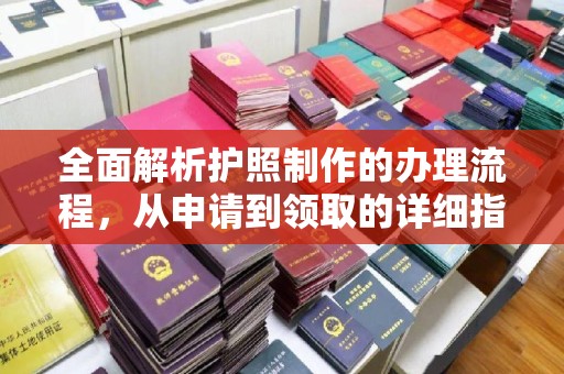 东丽全面解析护照制作的办理流程，从申请到领取的详细指南