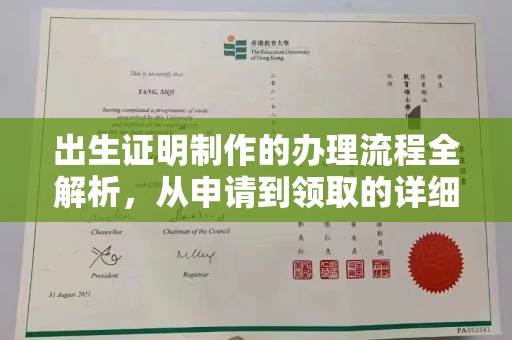 东丽出生证明制作的办理流程全解析，从申请到领取的详细指南