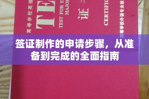 东丽签证制作的申请步骤，从准备到完成的全面指南