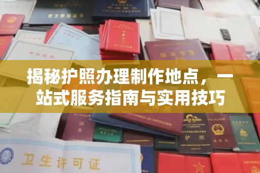 东丽揭秘护照办理制作地点，一站式服务指南与实用技巧