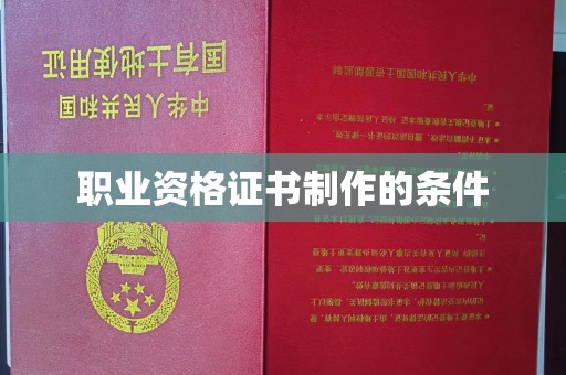 东丽职业资格证书制作的条件