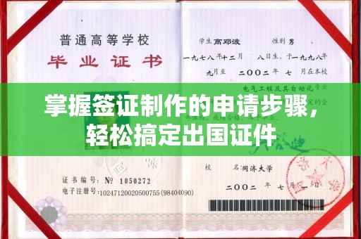 东丽掌握签证制作的申请步骤，轻松搞定出国证件