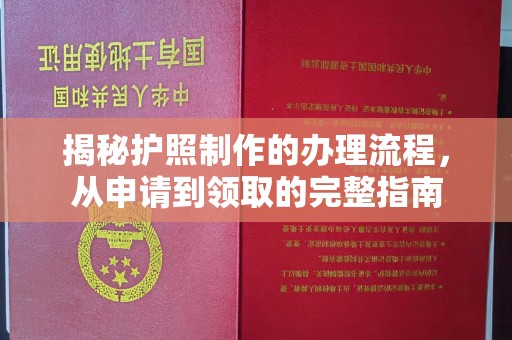 东丽揭秘护照制作的办理流程，从申请到领取的完整指南
