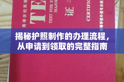 东丽揭秘护照制作的办理流程，从申请到领取的完整指南