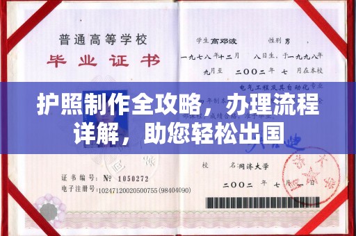 东丽护照制作全攻略，办理流程详解，助您轻松出国