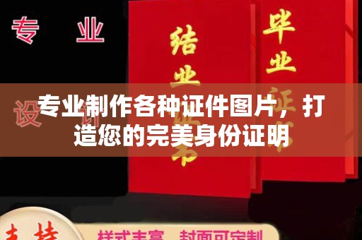 东丽专业制作各种证件图片，打造您的完美身份证明