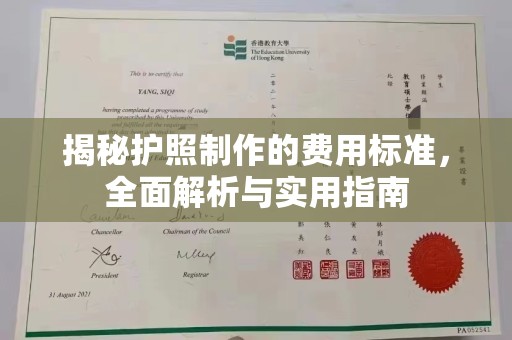 东丽揭秘护照制作的费用标准，全面解析与实用指南