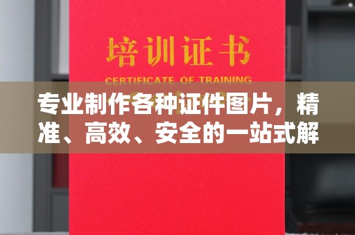 东丽专业制作各种证件图片，精准、高效、安全的一站式解决方案