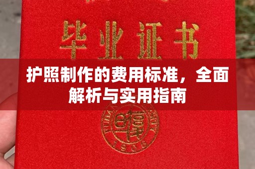 东丽护照制作的费用标准，全面解析与实用指南