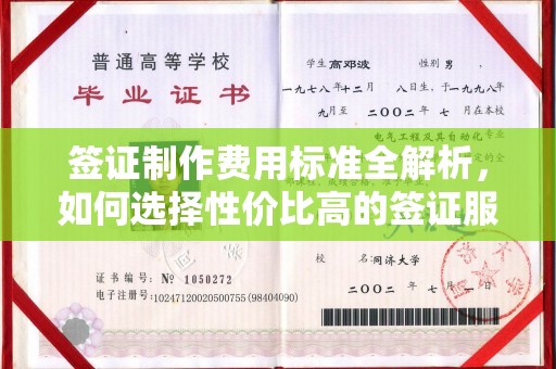 东丽签证制作费用标准全解析，如何选择性价比高的签证服务？