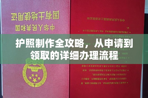 东丽护照制作全攻略，从申请到领取的详细办理流程