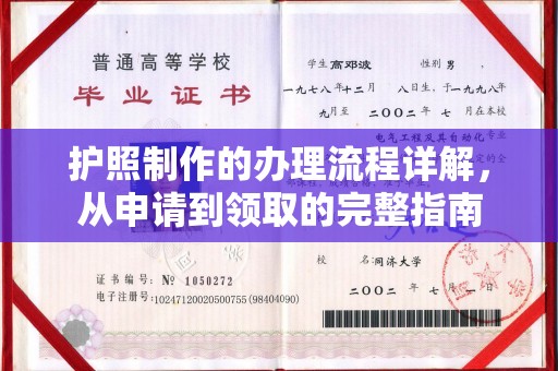 东丽护照制作的办理流程详解，从申请到领取的完整指南