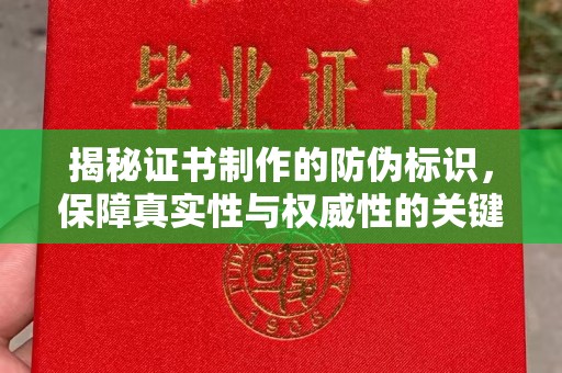 东丽揭秘证书制作的防伪标识，保障真实性与权威性的关键